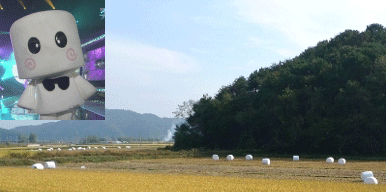 ma.gif