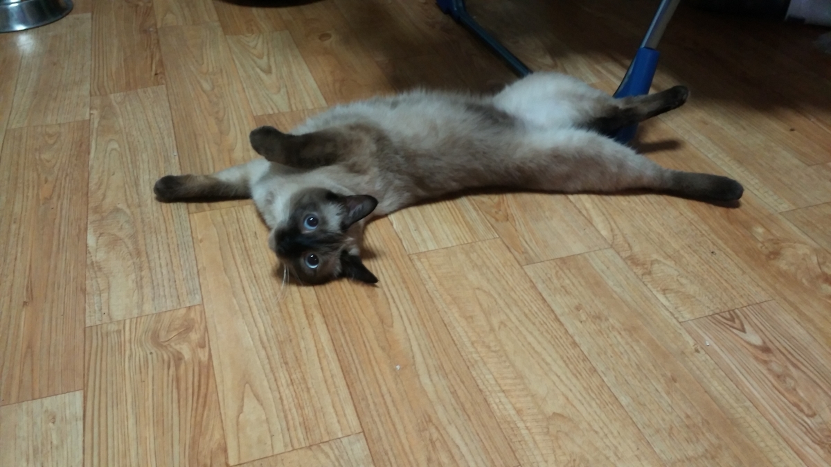20140821_011306.jpg