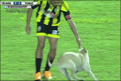 586f11230f7848918b65a949907c84be.gif