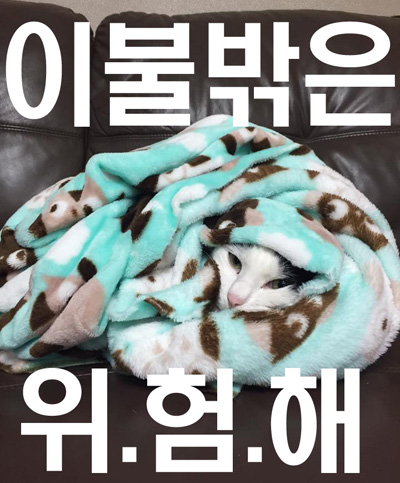 KakaoTalk_20160118_161846664.jpg