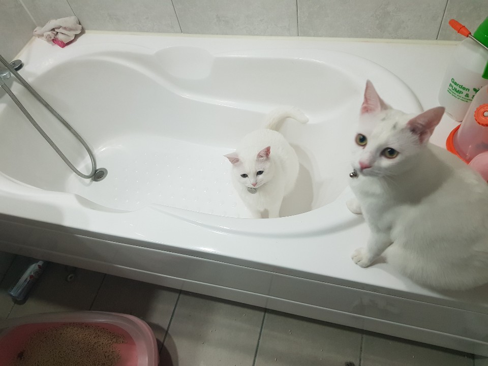KakaoTalk_20190507_212242893.jpg