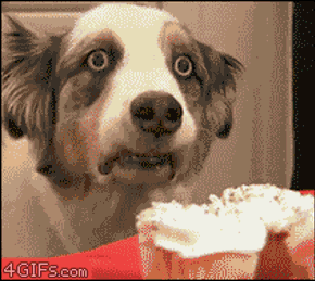 anigif_3.gif