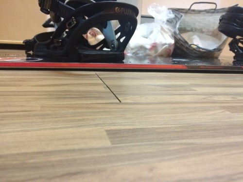 350_IMG_2423.JPG