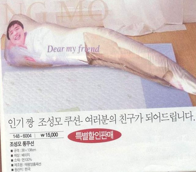 조성모쿠션.JPG