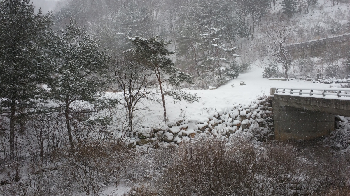 20151203_130041.jpg