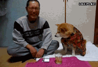 음주말리는개움짤.gif