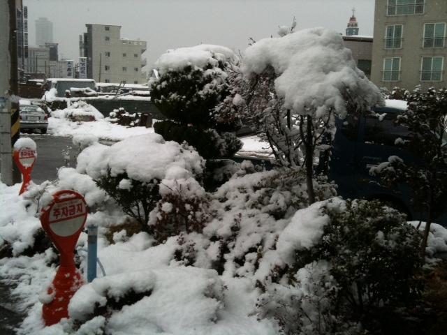 snow3.JPG