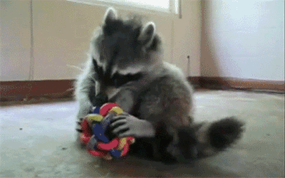 tumblr_n7hisblslf1s0mbfho1_400.gif