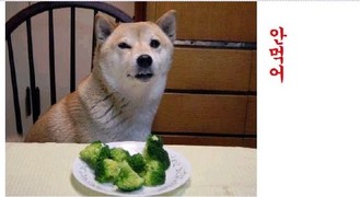안먹어.jpg