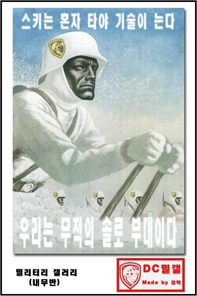 ski_solo.JPG