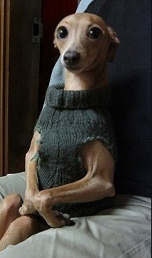 20121230_152819.png