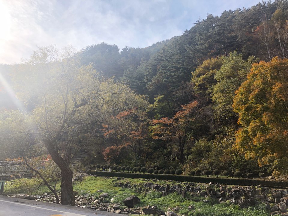 KakaoTalk_20191028_140636027_02.jpg