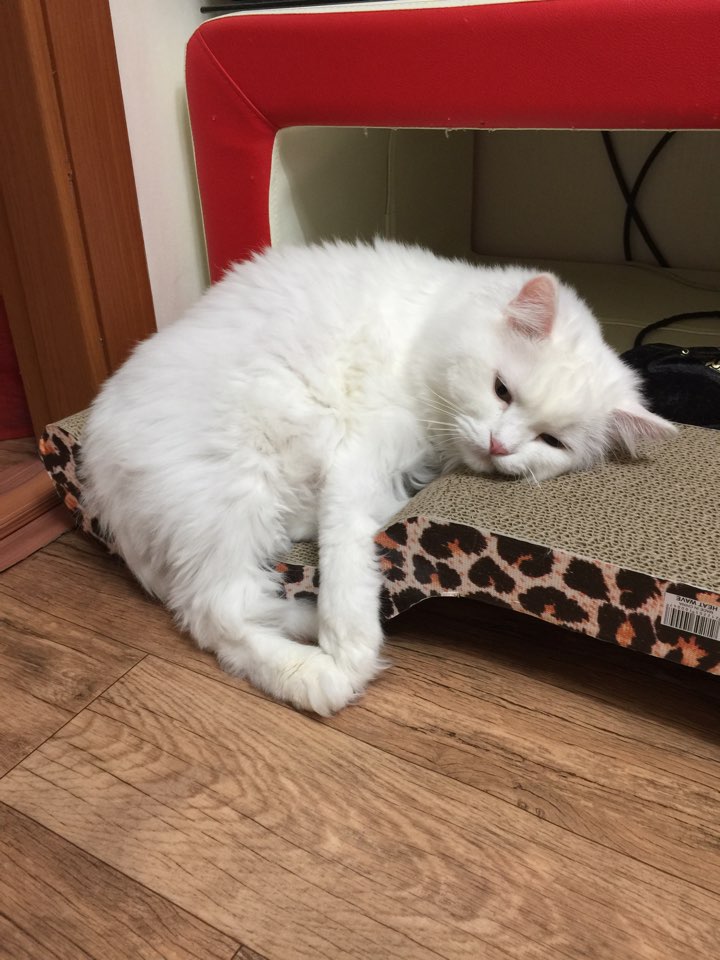 KakaoTalk_20160404_231557414.jpg