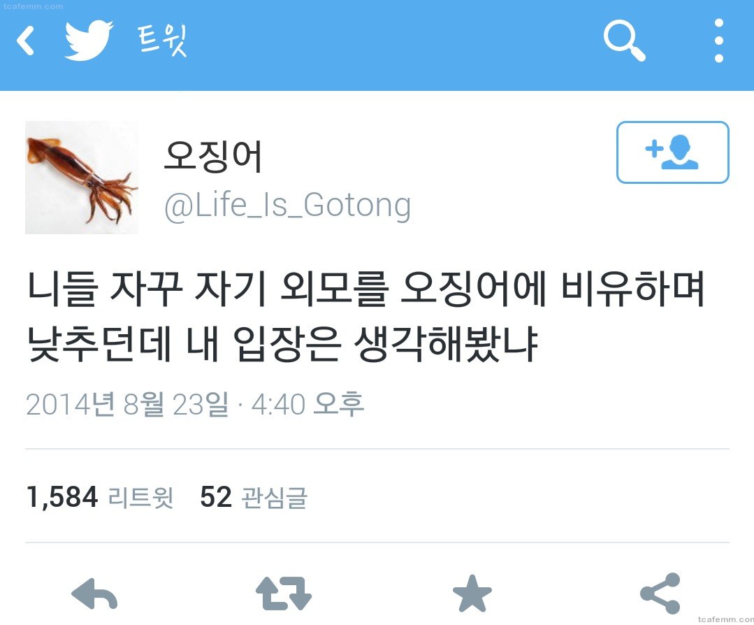 오징어.jpg