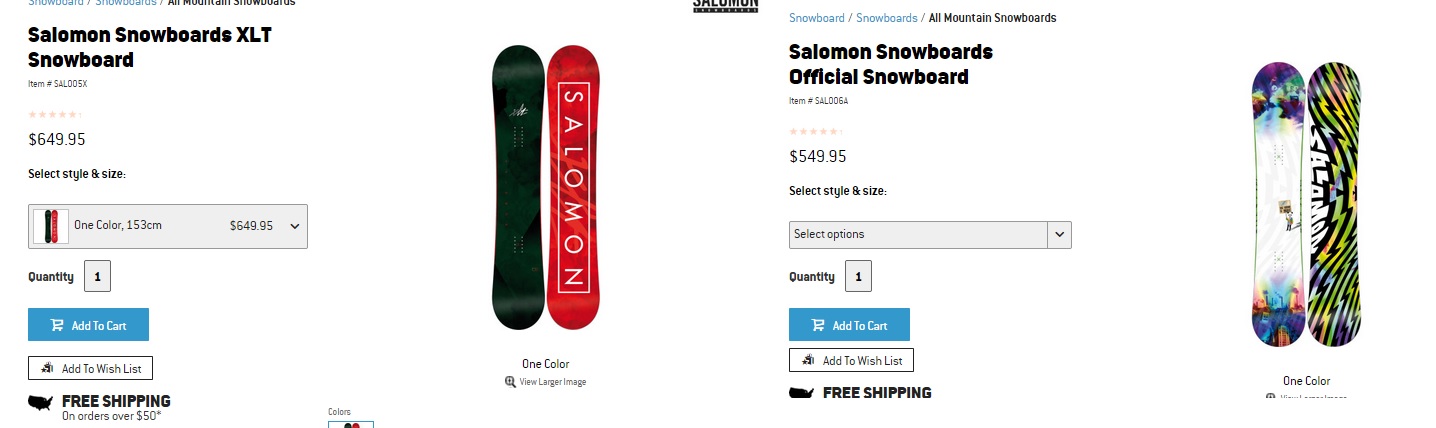 SALOMON.jpg