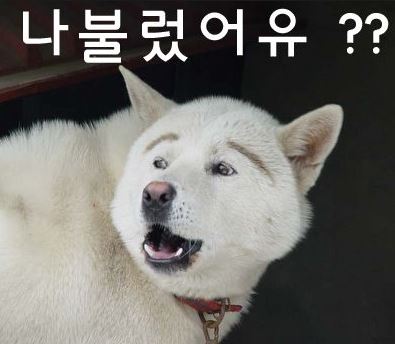 나불렀어유.JPG