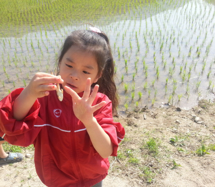 ree-20130602_083625-1.jpg