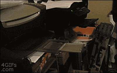 알바생.gif