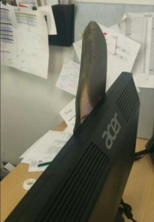 qq3.jpg