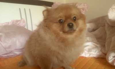회전_Photo_120105-002.jpg