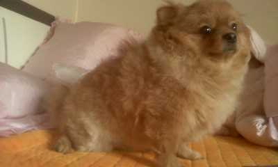 회전_Photo_120105-003.jpg