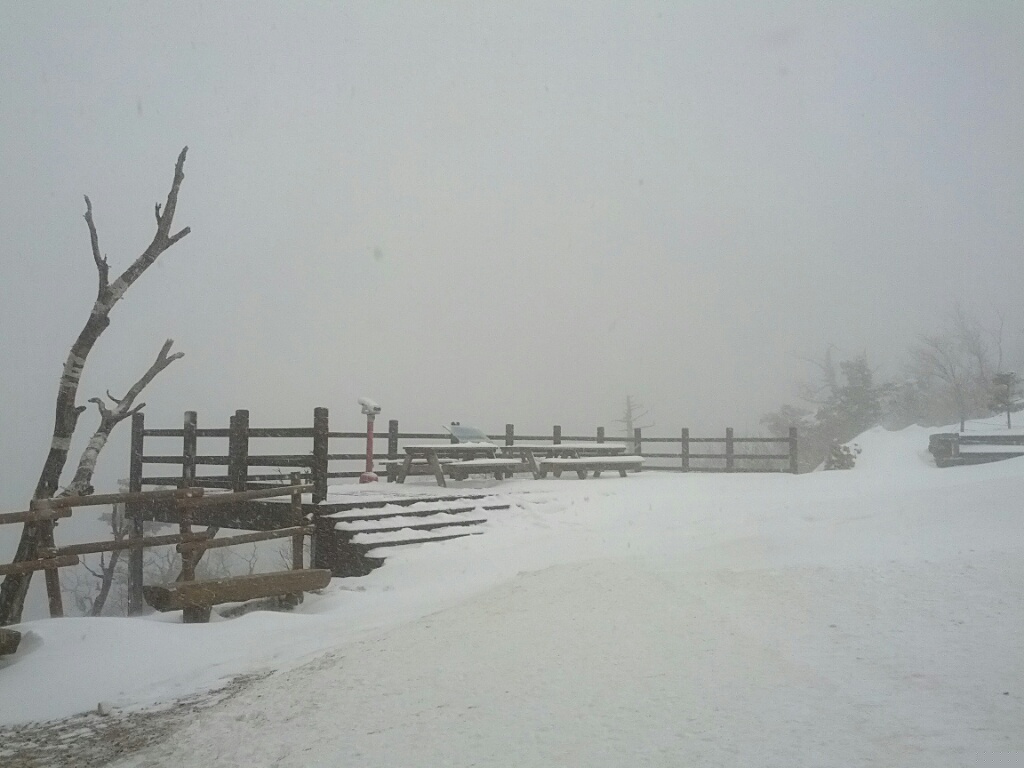 CYMERA_20121214_140308.jpg