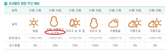 whatisthis.jpg