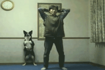스트레칭.gif