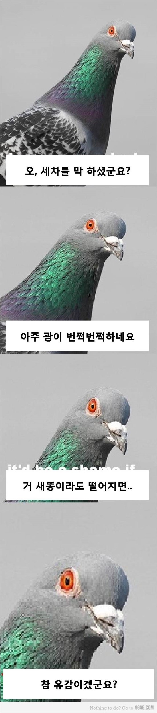 유감1.jpg
