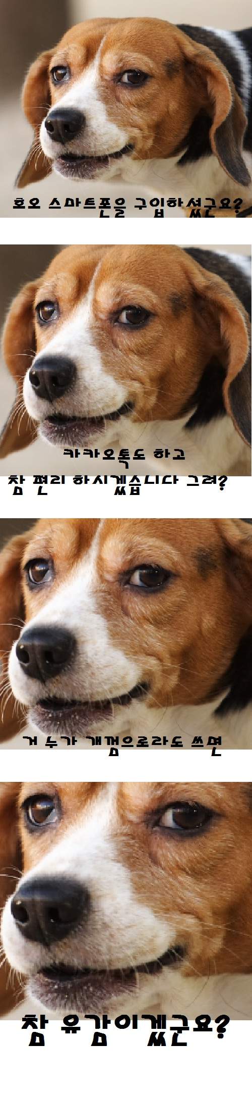 유감.jpg