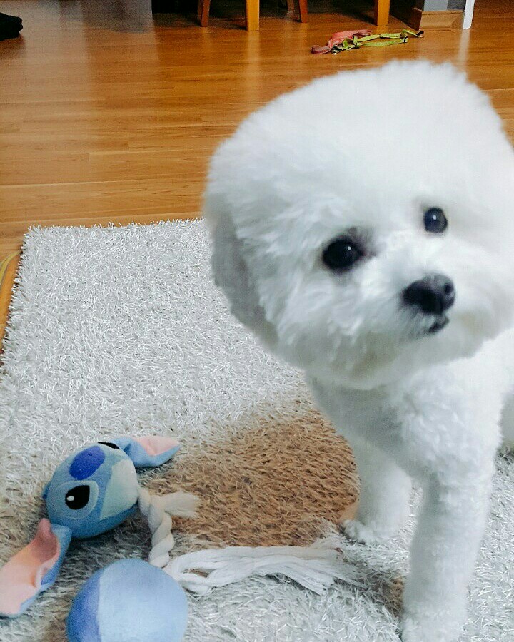 KakaoTalk_20170418_102815477.jpg