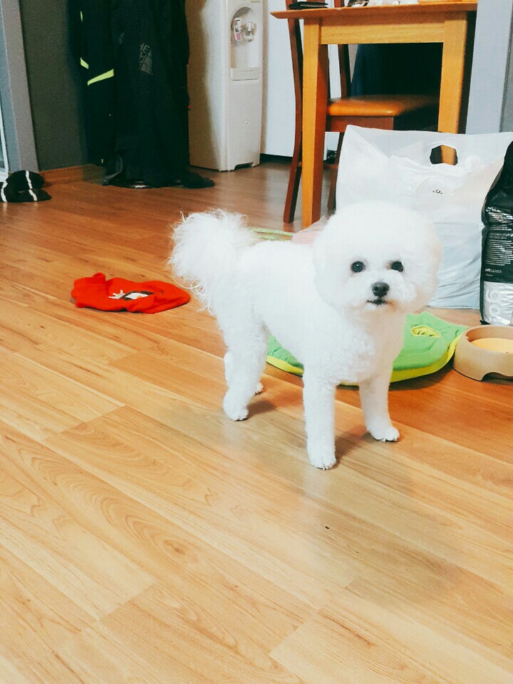 KakaoTalk_20170418_102730524.jpg