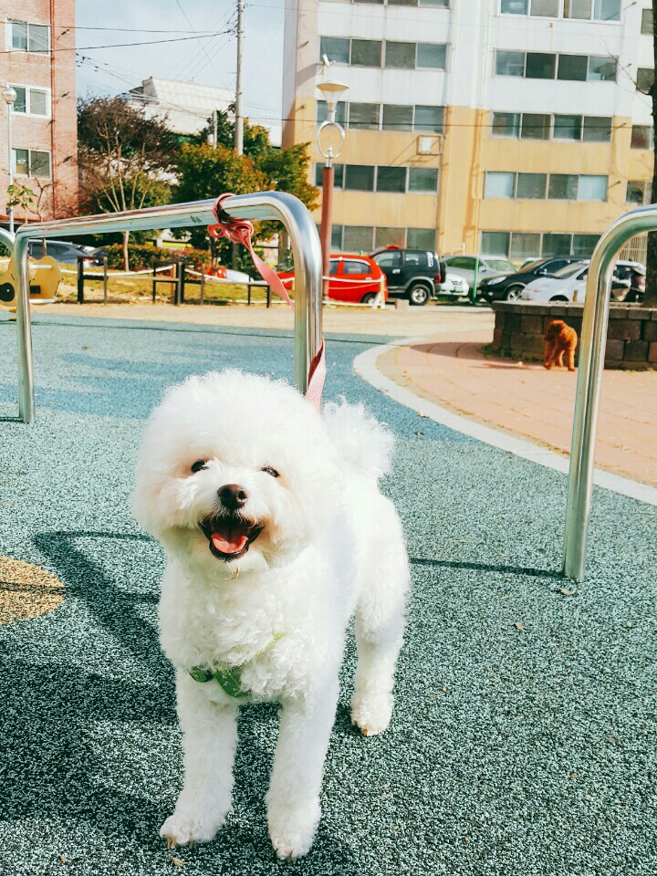 KakaoTalk_20170418_102731276.jpg