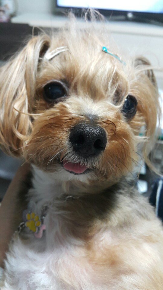 KakaoTalk_20150827_110551423.jpg