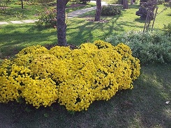 20131003_144940_4.jpg