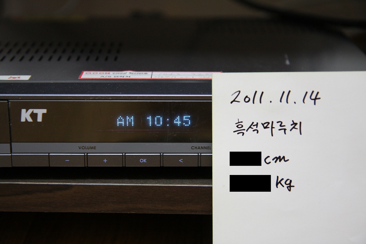 IMG_aa1468.JPG