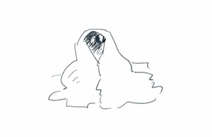 C.jpg