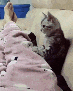s04ej360e3r7lj360au.gif