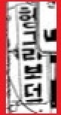 91.jpg