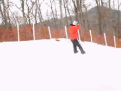 anigif.gif