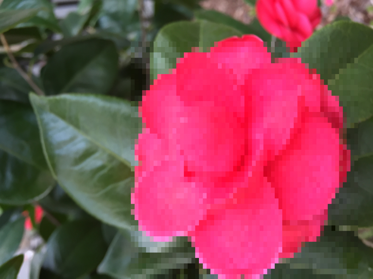 모자.png