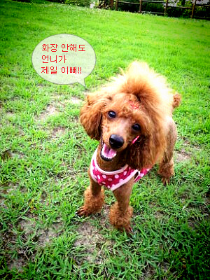 cycamera_2653(8).jpg