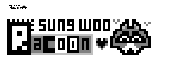 racoonLL.GIF