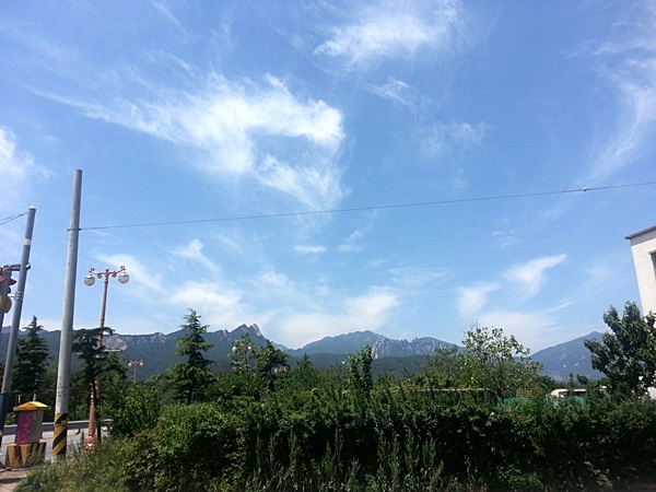20150523_114005.jpg