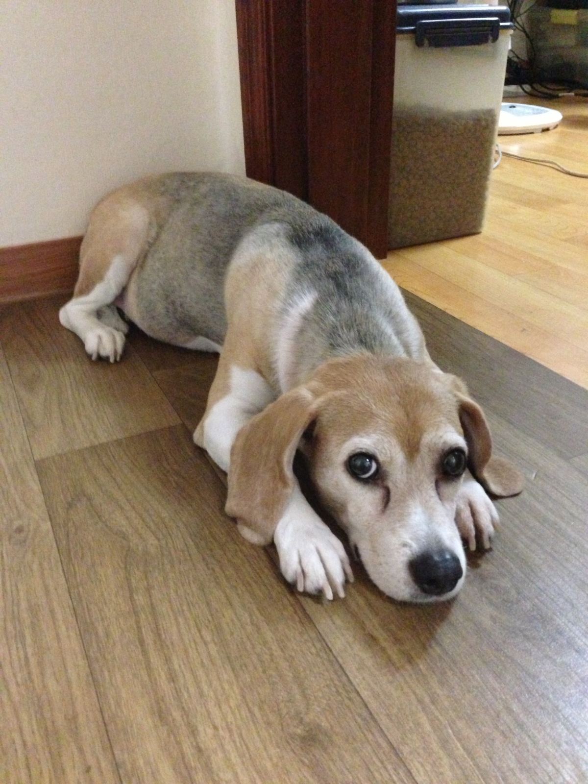 오지문 110.JPG