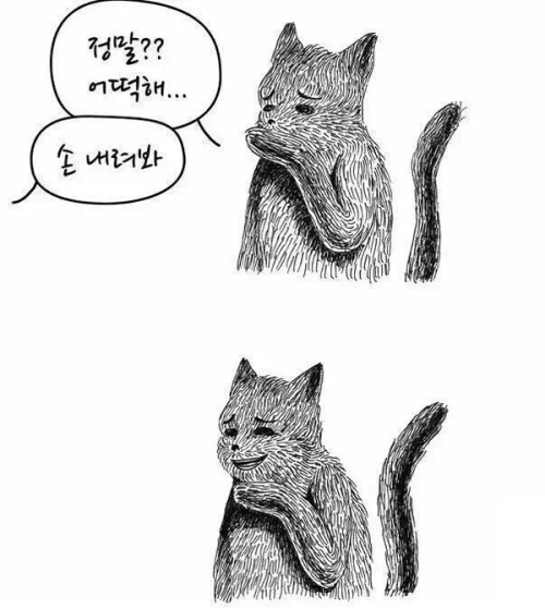 508e4a0b30edb0.jpg