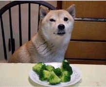 안먹어.jpg