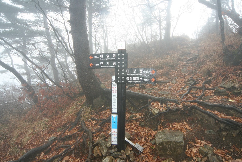 no5.jpg