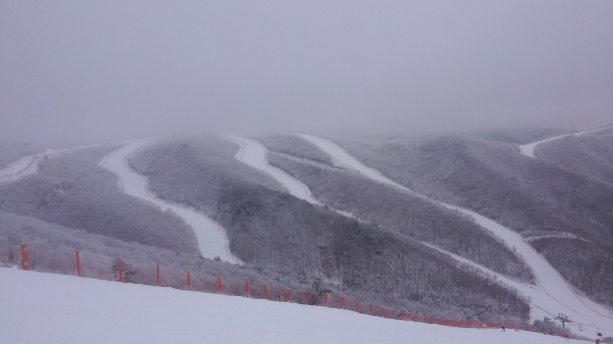 20160130_113718.jpg
