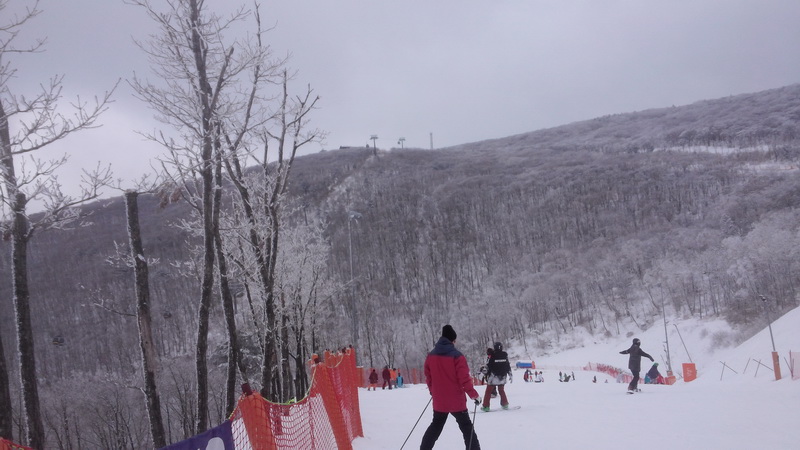 20160130_140337_resize.jpg
